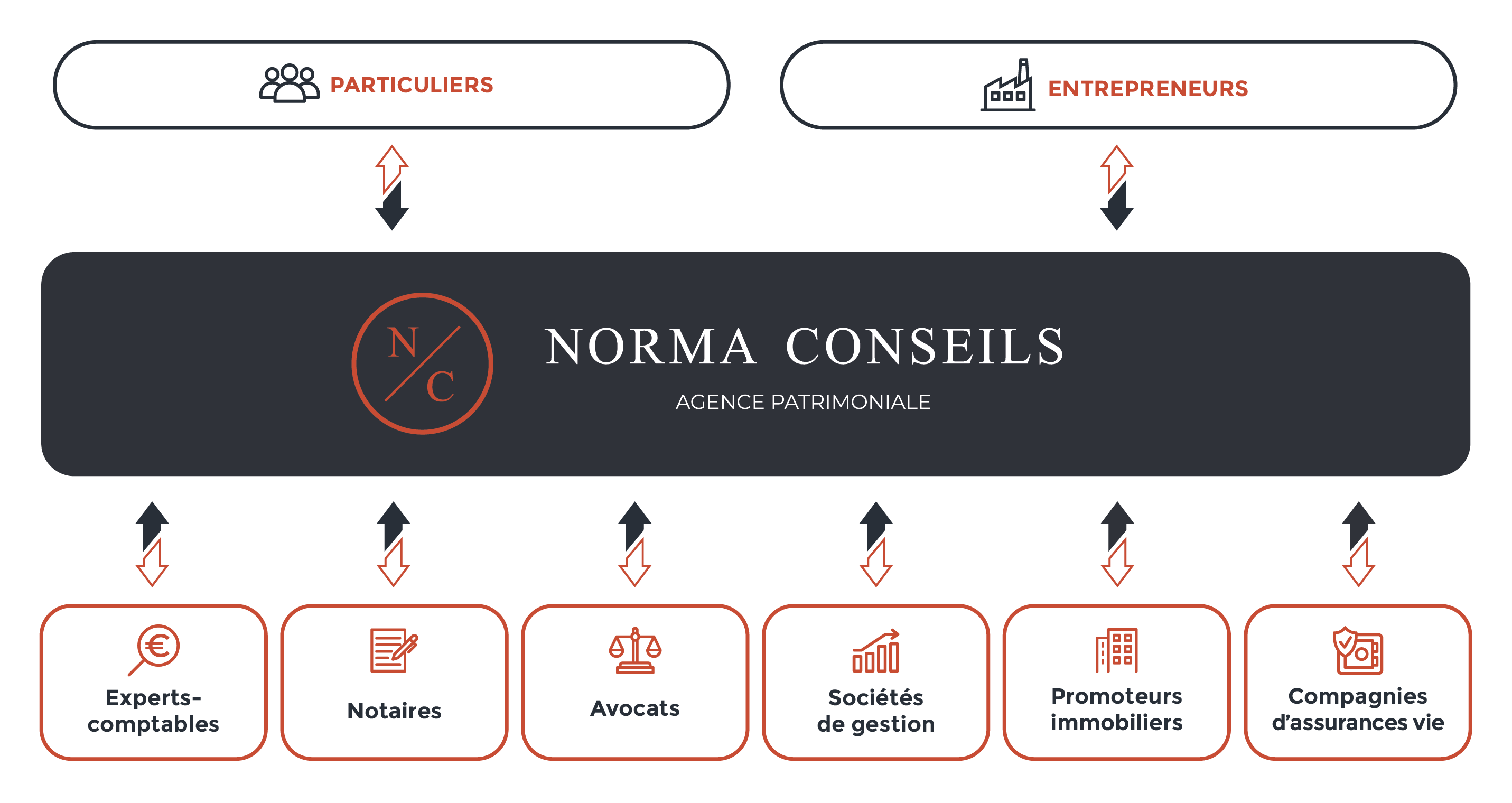 Graphique expliquant l'organisation du Norma Conseil